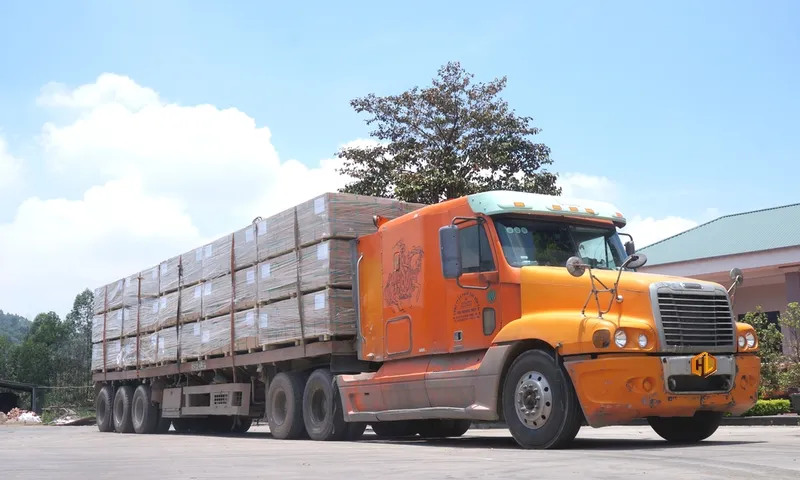 Sản phẩm Slide6 — Công Ty TNHH Dịch Vụ Tổng Hợp Hoa Linh — MST 2600997622
