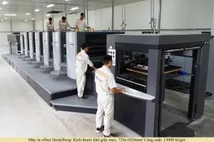 Sản phẩm 1.1 300x200 — Công Ty CP Tập Đoàn Bao Bì Avestar — MST 2601077466