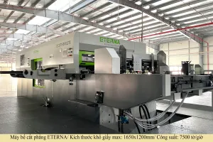 Sản phẩm 1.5 300x200 — Công Ty CP Tập Đoàn Bao Bì Avestar — MST 2601077466