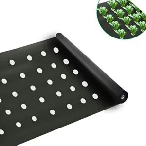 Sản phẩm Mulch Film Black single layer2 300x300 — Công Ty TNHH Sản Xuất Và Xuất Khẩu Sao Việt — MST 2601099195