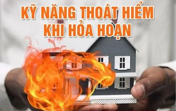 Sản phẩm ky nang thoat hiem khi gap hoa hoan large — Công Ty TNHH MTV Tràng An 168 — MST 2700705520