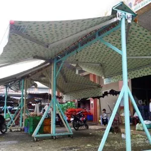 Sản phẩm mai_hien_chu_a 300x300 — Công Ty TNHH Sản Xuất Thương Mại Và Dịch Vụ Thùy Linh — MST 2700785406