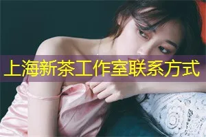 Sản phẩm 202605231779503374197842 — Công Ty TNHH Thương Mại Và Xây Dựng Tân Uy Vũ — MST 2700789859