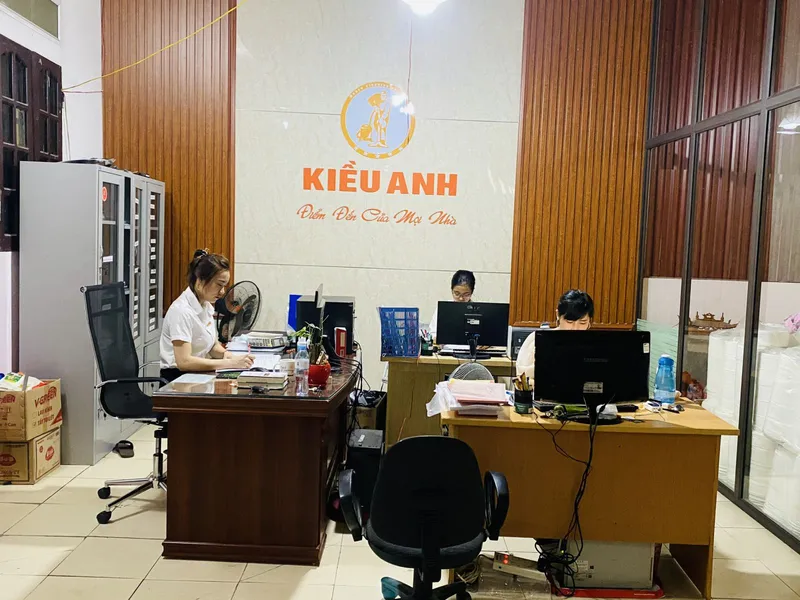 Sản phẩm kieu anh 21 — Công Ty TNHH Phát Triển Dịch Vụ Kiều Anh — MST 2700822312