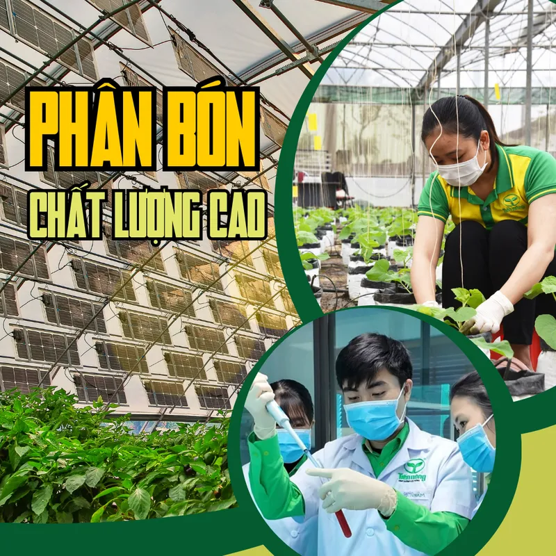 Sản phẩm 2 35 — Công Ty Cổ Phần Công Nông Nghiệp Tiến Nông — MST 2800142141