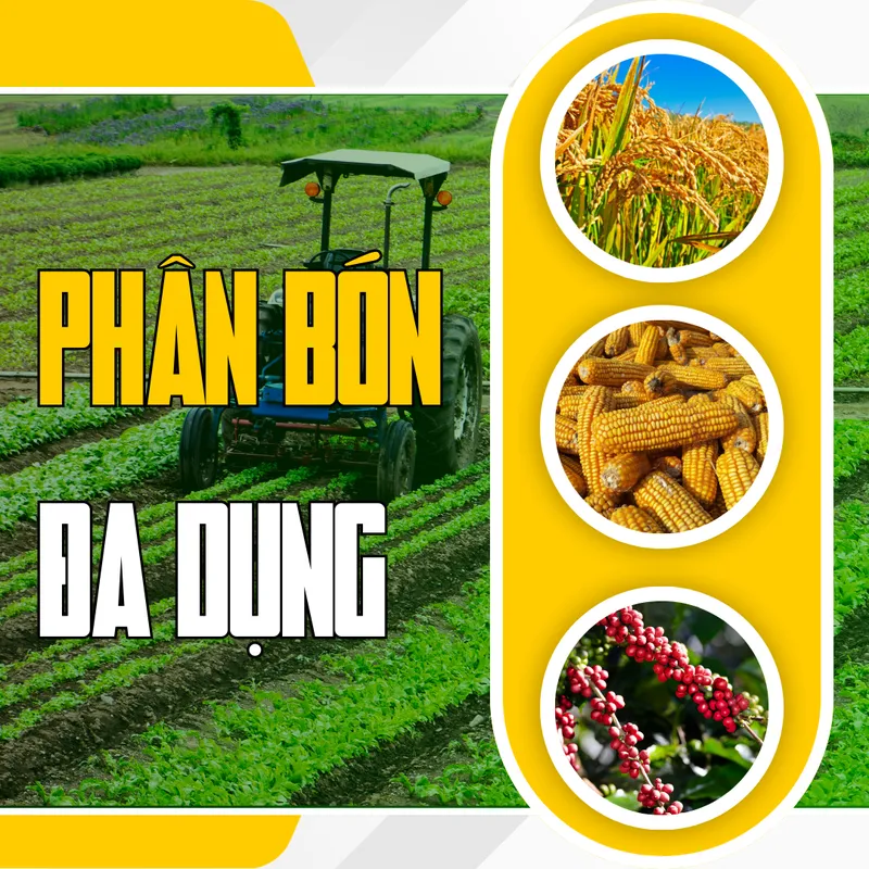 Sản phẩm Phan bon da dung Tien Nong – Cung cap dinh duong toan dien phu hop cho nhieu loai cay trong giup cay phat trien ben vung tang nang suat va chat luong 1 — Công Ty Cổ Phần Công Nông Nghiệp Tiến Nông — MST 2800142141