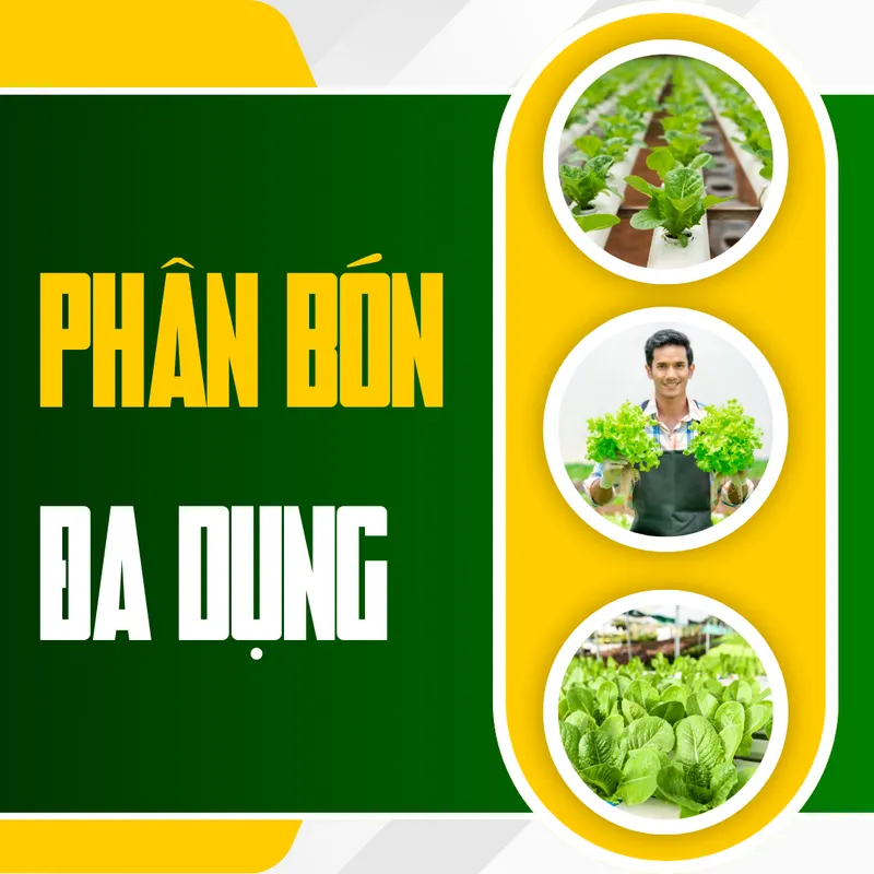 Sản phẩm Phan bon da dung Tien Nong – Cung cap dinh duong toan dien phu hop cho nhieu loai cay trong giup cay phat trien ben vung tang nang suat va chat luong — Công Ty Cổ Phần Công Nông Nghiệp Tiến Nông — MST 2800142141