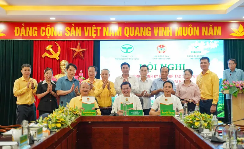 Sản phẩm z7864222459393_498f72ada4c5bd45ff78c7c0d2191b2e — Công Ty Cổ Phần Công Nông Nghiệp Tiến Nông — MST 2800142141