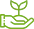 Sản phẩm sprout.png — Công Ty Cổ Phần Thanh Hà — MST 2800803923