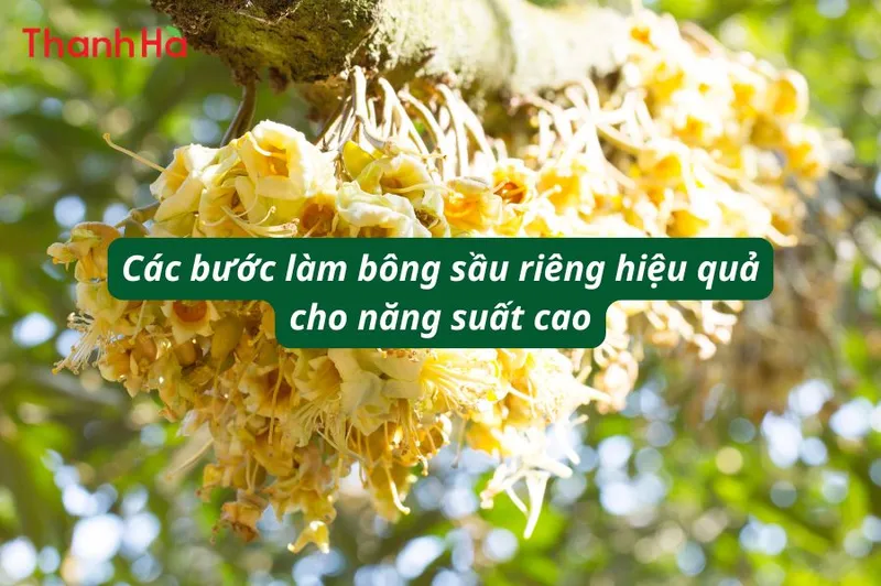 Sản phẩm cac buoc lam bong sau rieng — Công Ty Cổ Phần Thanh Hà — MST 2800803923