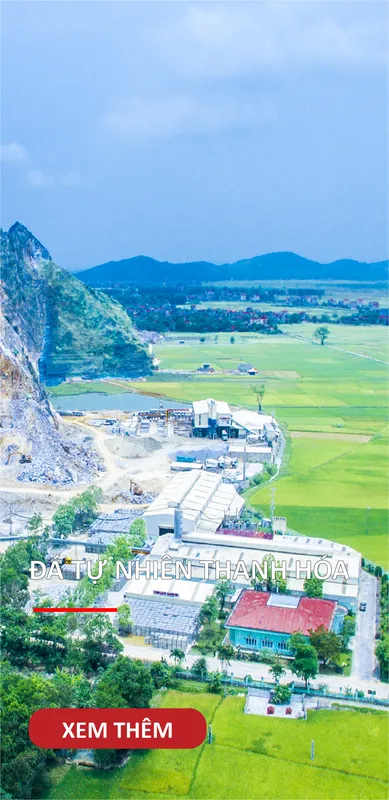 Sản phẩm Untitled 2 04 — Tổng Công Ty Đầu Tư Hà Thanh — MST 2800830733