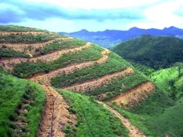 Văn phòng Ván INNOVGREEN - Công Ty TNHH INNOVGREEN Thanh Hóa #2 — MST 2800857164