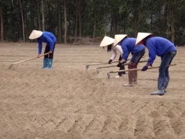 Văn phòng Ván INNOVGREEN - Công Ty TNHH INNOVGREEN Thanh Hóa #8 — MST 2800857164