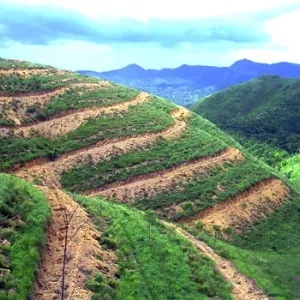 Sản phẩm field x12kcvkie3gton5 418 trong rung — Ván INNOVGREEN - Công Ty TNHH INNOVGREEN Thanh Hóa — MST 2800857164