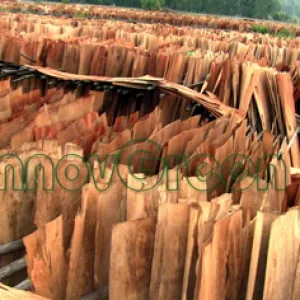 Sản phẩm list kt6ywqefkms4pg6 3 van boc — Ván INNOVGREEN - Công Ty TNHH INNOVGREEN Thanh Hóa — MST 2800857164