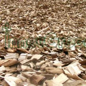 Sản phẩm list v34acnng1hsycft 1 dam go — Ván INNOVGREEN - Công Ty TNHH INNOVGREEN Thanh Hóa — MST 2800857164