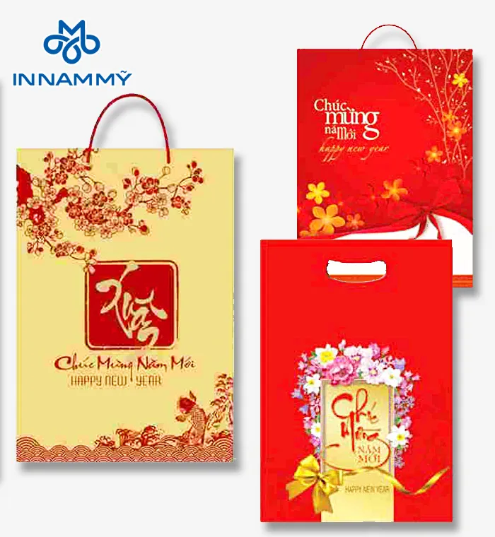 Sản phẩm túi giấy — In Nam Mỹ - Công Ty TNHH MTV Thiên Y — MST 2801271326