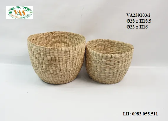 Sản phẩm 1 — Cói Xuất Khẩu Việt Anh - Công Ty Cổ Phần Sản Xuất - Chế Biến Cói Xuất Khẩu Việt
Anh — MST 2801425368