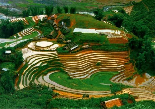 Sản phẩm Canh dep viet nam 02 — Công Ty Cổ Phần Thương Mại Đá Đông — MST 2801844351