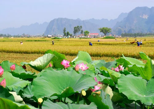 Sản phẩm hinhnenphongcanh39 — Công Ty Cổ Phần Thương Mại Đá Đông — MST 2801844351