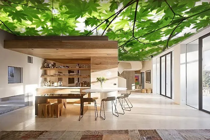 Sản phẩm tran xuyen sang danh cho thiet ke xanh — Trần Xuyên Sáng Dhome Việt Nam - Công Ty TNHH Kiến Trúc Nội Thất Dhome Việt Nam — MST 2802427696
