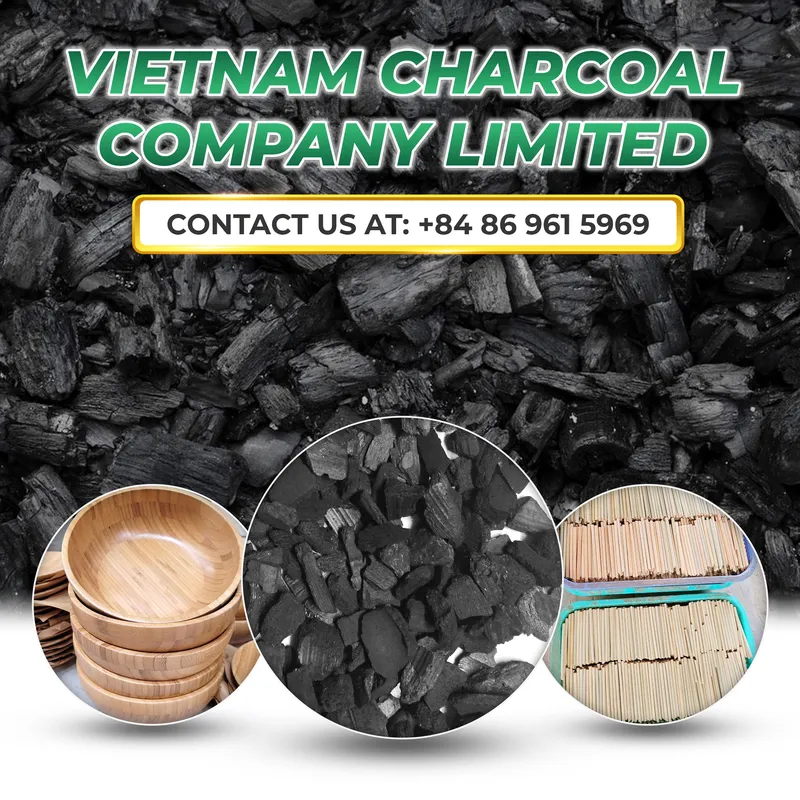 Sản phẩm introduction — Than Vietnam Charcoal - Công Ty TNHH Vietnam Charcoal — MST 2802535652