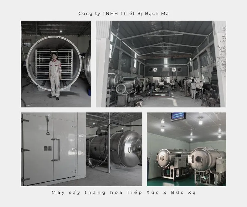Sản phẩm Máy sấy thăng hoa Tiếp Xúc và Bức Xạ Bạch Mã — Máy Sấy Thăng Hoa Bạch Mã - Công Ty TNHH Thiết Bị Bạch Mã — MST 2802609600