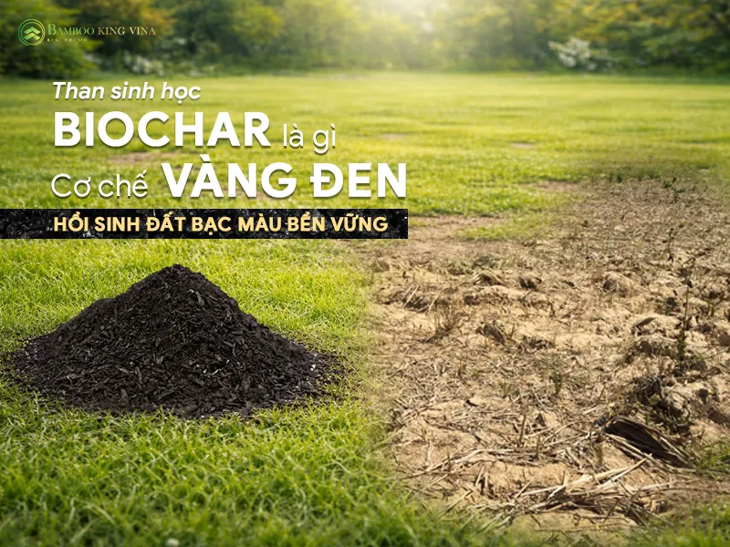 Sản phẩm Than sinh hoc Biochar — Công Ty Cổ Phần Bamboo King Vina — MST 2802903987