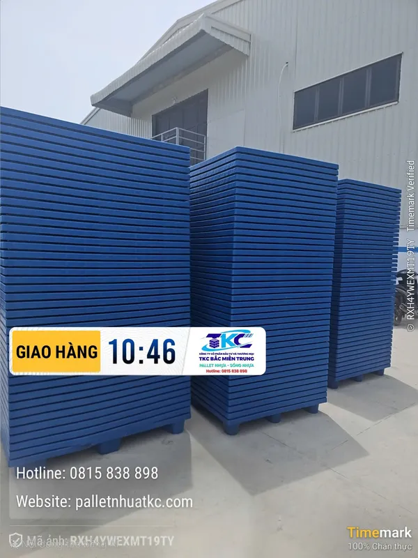 Sản phẩm Cá»‘c 2 — Pallet Nhựa Bắc Miền Trung - Công Ty CP Đầu Tư & Thương Mại TKC Bắc Miền Trung — MST 2802967885