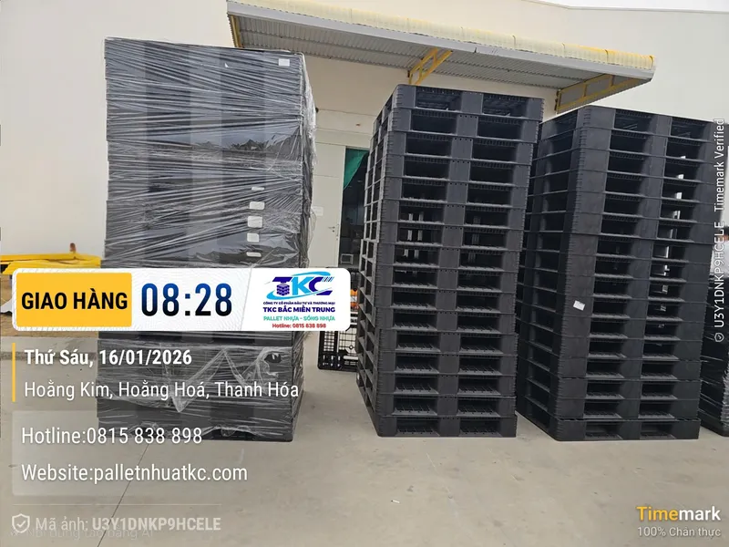 Sản phẩm Pallet 23 — Pallet Nhựa Bắc Miền Trung - Công Ty CP Đầu Tư & Thương Mại TKC Bắc Miền Trung — MST 2802967885