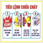 Sản phẩm tieu lenh chua chay_150x150 — Công Ty TNHH HAUY — MST 2803147187