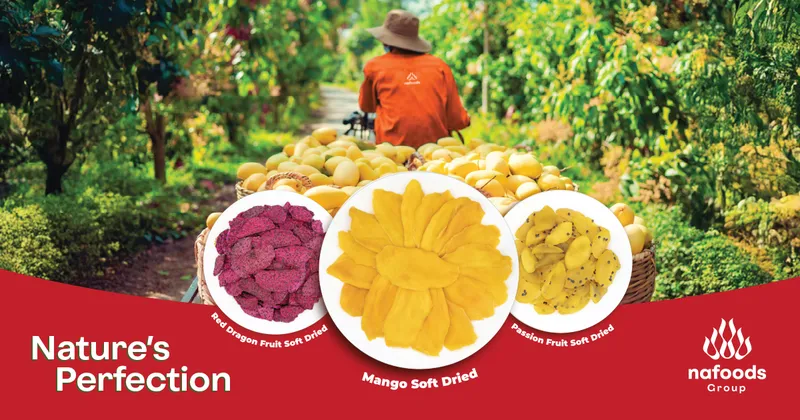 Sản phẩm dried fruit supplier nafoods — Công Ty CP Nafoods Group — MST 2900326375