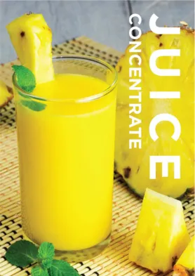 Sản phẩm juice concentrate — Công Ty CP Nafoods Group — MST 2900326375