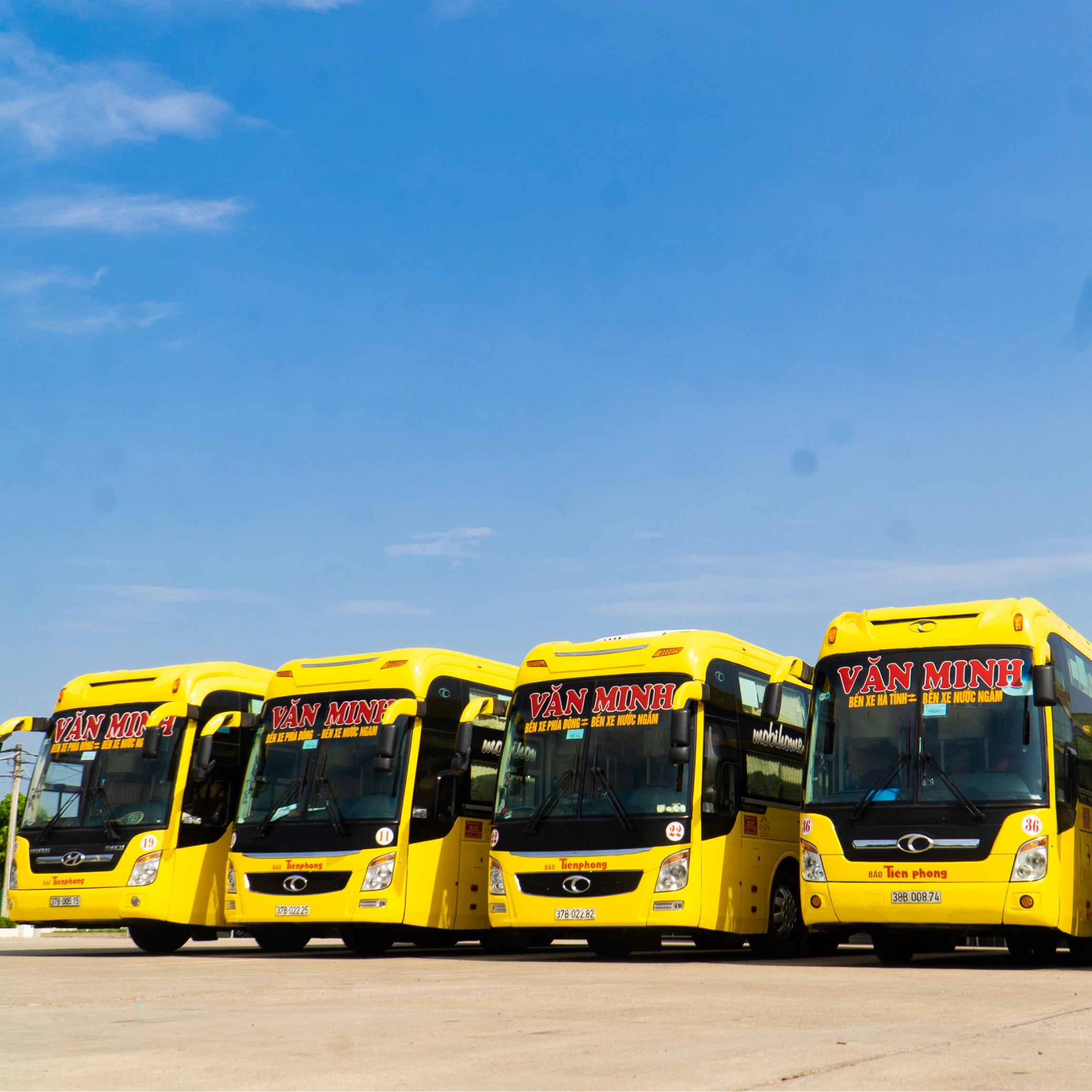 Sản phẩm 7 — Công Ty TNHH Văn Minh — MST 2900839257