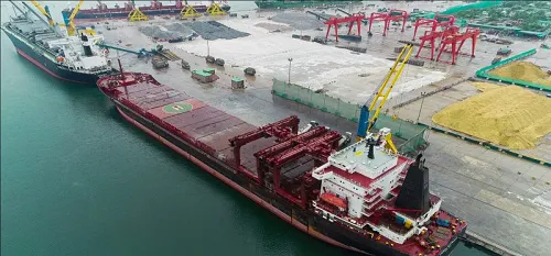 Sản phẩm Tau cang 2 — Công Ty CP Xi Măng Tân Thắng — MST 2901132319