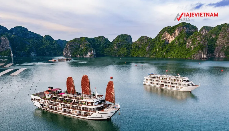 Sản phẩm 10 Mejores Cruceros En La Bahia De Halong 1 — Công Ty Cổ Phần Bình Minh Nghệ An — MST 2901264026