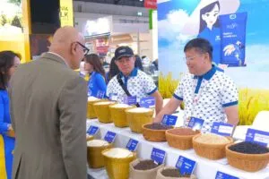 Sản phẩm 708229495_1596733861954317_8088623538627035789_n 300x200 — Công Ty Cổ Phần Vilaconic — MST 2901274715