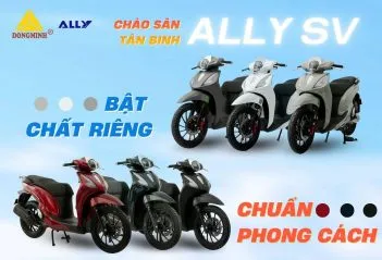 Sản phẩm z7294580628034_13a9fdd2a302ed65fb44dbc9dd6a281f 351x239 — Công Ty TNHH DV TM Quang Minh Gluck — MST 2901442374