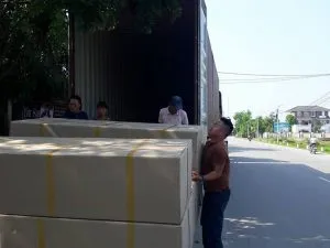 Sản phẩm Ads 14 300x225 — Đại Lý Hải Quan Miền Trung - Công Ty TNHH Tiếp Vận Hà Đức — MST 2901620838
