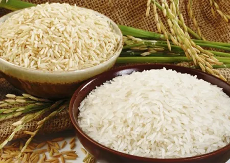 Sản phẩm gao 1 — Công Ty TNHH Thương Mại Tổng Hợp Nghệ An — MST 2901789217