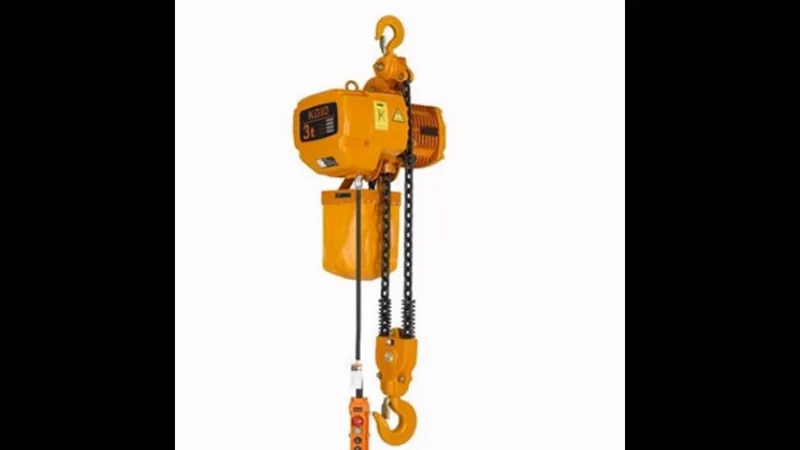Sản phẩm palang koio 3T 1 — Công Ty TNHH Tai Yi Việt Nam — MST 2901818468