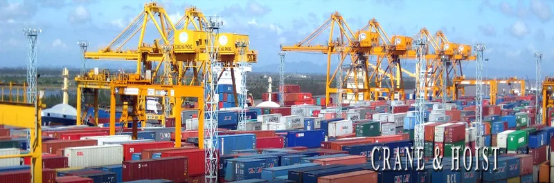 Sản phẩm S2 — Công Ty TNHH Tai Yi Việt Nam — MST 2901818468
