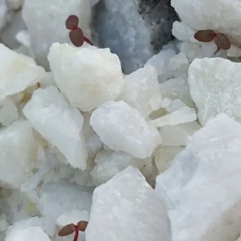Sản phẩm category 2 — THNA Group - Công Ty Cổ Phần Trung Hải Nghệ An Group — MST 2901941574