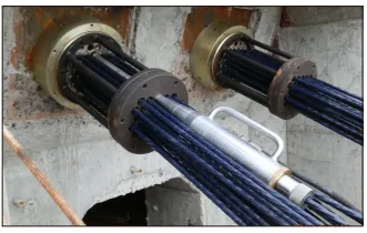 Sản phẩm Cap PSS . — Vật Tư Cầu Đường - Công Ty TNHH Cương Thư — MST 2902037481