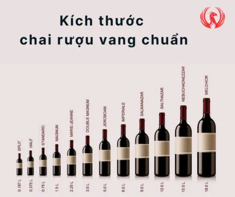 Sản phẩm su khac nhau cua kich thuoc chai ruou vang co the ban chua biet 970 2 477x400 — Công Ty Cổ Phần Avino Việt Nam — MST 2902120676