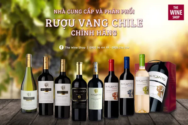 Sản phẩm top 5 quoc gia san xuat nhieu ruou vang nhat the gioi 951 13 599x400 — Công Ty Cổ Phần Avino Việt Nam — MST 2902120676
