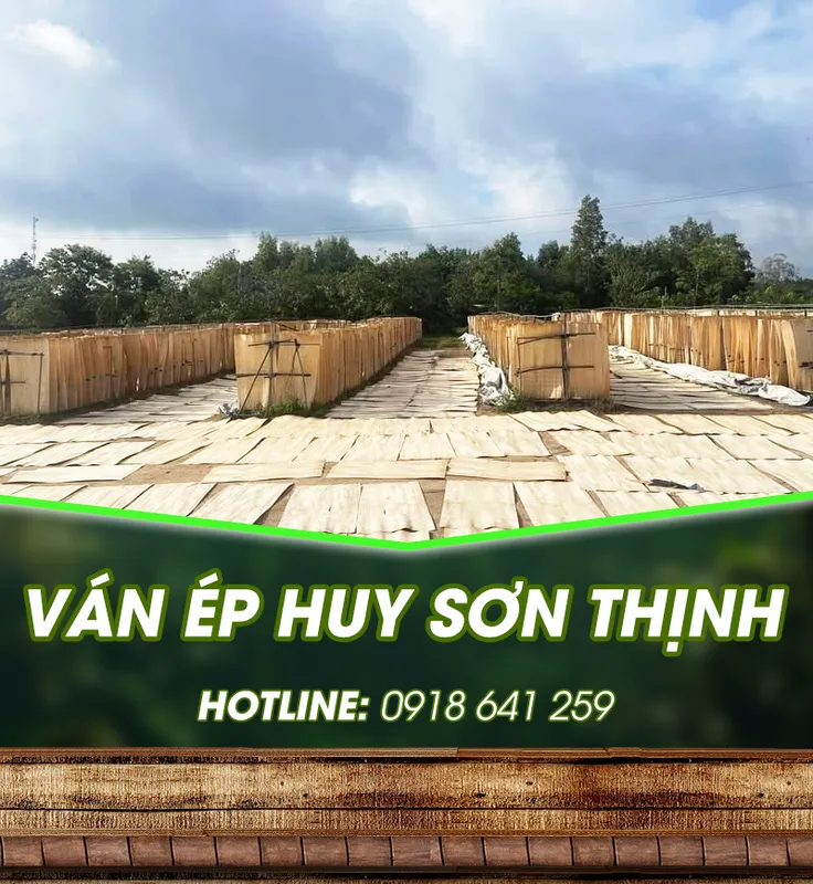 Sản phẩm new intro — Ván ép Huy Sơn Thịnh - Công Ty TNHH Huy Sơn Thịnh — MST 2902188120