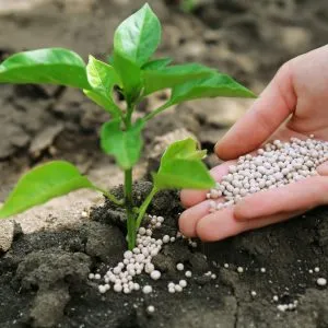 Sản phẩm Fertilizers scaled 300x300 — Công Ty CP Tập Đoàn Hoành Sơn — MST 3000244065