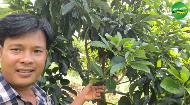 Sản phẩm Thiet ke chua co ten 920x507 — Công Ty TNHH Công Nghệ Sinh Học WAO — MST 3002131116