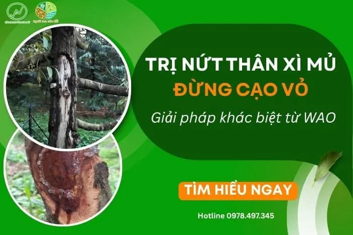 Sản phẩm nut than xi mu 0 — Công Ty TNHH Công Nghệ Sinh Học WAO — MST 3002131116